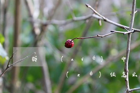 拆遷協(xié)議中沒(méi)有約定違約責(zé)任怎么辦？法院這樣說(shuō)
